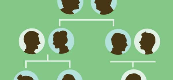 Non-Profit Genealogy Company